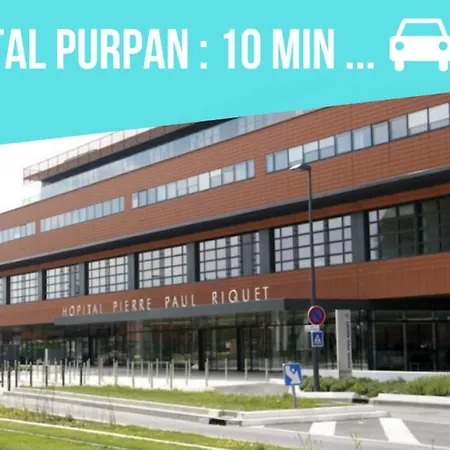 Cosy: Comfort Near Airbus & Purpan *