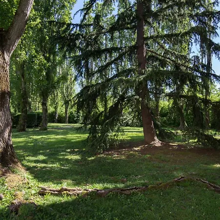 Cosy: Comfort Near Airbus & Purpan