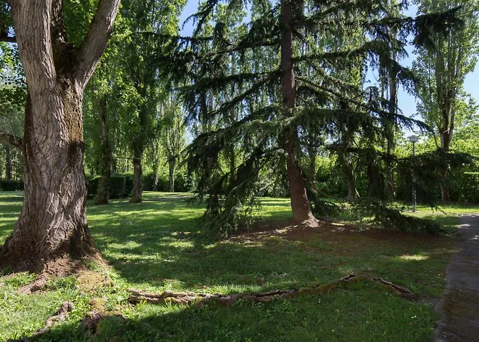 Cosy Confort - Climatisation, Balcon, Wifi - Proche Airbus, Purpan, Aeroport, Stade Ernest Wallon